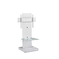 PureMounts GI-PM-101W regulowany stojak dla monitora/telewizora LED/LCD do 60'' biały