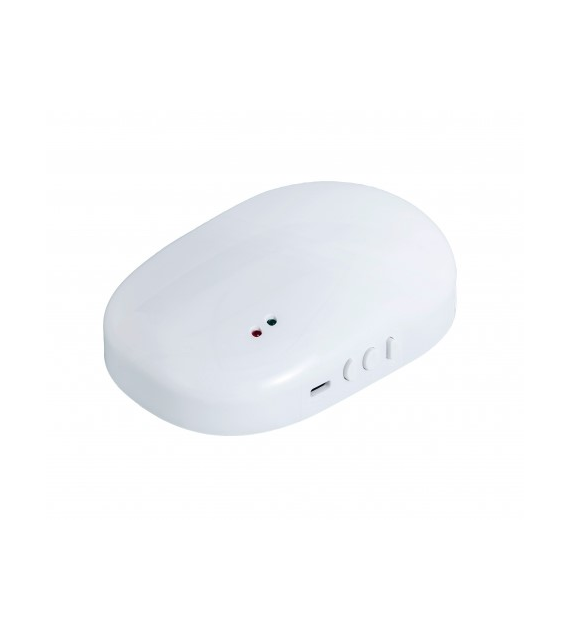 Kauber RC-02SET sterowanie radiowe odbiornik RC-02 z pilotem Slim